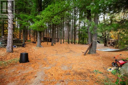 428239 25 Side Road, Mono, ON - Outdoor