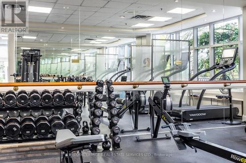 809 - 1 Palace Pier Court, Toronto, ON - Indoor Photo Showing Gym Room
