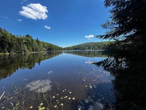 Terre/Terrain - Rue Ioan, Wentworth-Nord, QC 