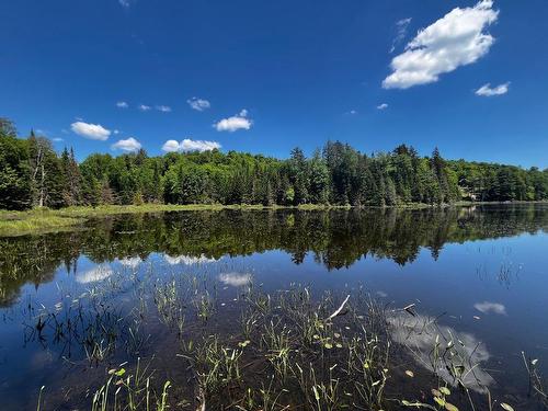 Terre/Terrain - Rue Ioan, Wentworth-Nord, QC 