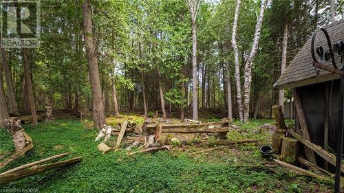 609 Stokes Bay Road, Northern Bruce Peninsula, ON - Outdoor