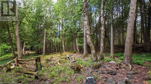 609 Stokes Bay Road, Northern Bruce Peninsula, ON - Outdoor