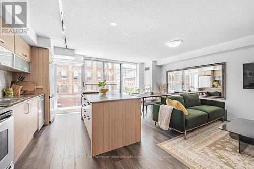 305 - 205 Frederick Street, Toronto, ON - Indoor Photo Showing Kitchen With Upgraded Kitchen