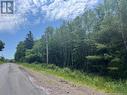 Lot Bridge Drive, Cambridge-Narrows, NB 