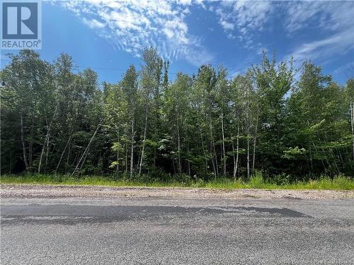 Lot Bridge Drive, Cambridge-Narrows, NB 