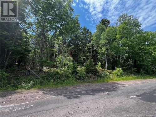 Lot Bridge Drive, Cambridge-Narrows, NB 