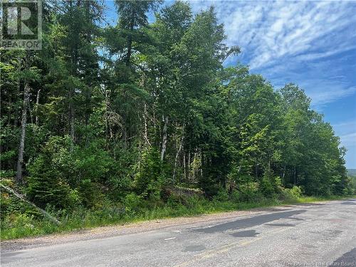 Lot Bridge Drive, Cambridge-Narrows, NB 