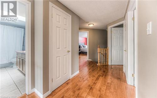 38 Windward Place, Kitchener, ON - Indoor Photo Showing Other Room