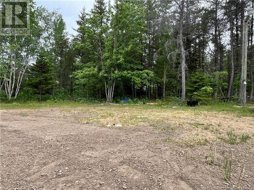 1926 Route 365, Petit-Tracadie, NB - Outdoor