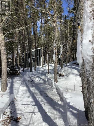 1926 Route 365, Petit-Tracadie, NB - Outdoor With View