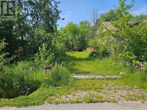 732 Chestnut Street, Innisfil (Alcona), ON 