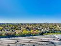 1509-1 Rean Dr, Toronto, ON  - Outdoor With View 
