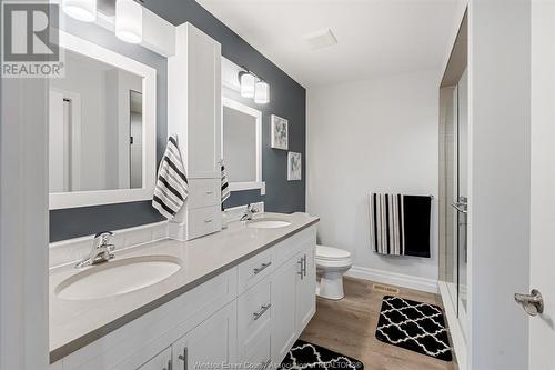 46 York Boulevard, Kingsville, ON - Indoor Photo Showing Bathroom