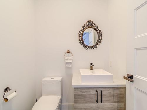 Powder room - 101 Rue Georges-Estu, Lavaltrie, QC - Indoor Photo Showing Bathroom