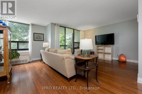 219 - 50 Mississauga Valley Boulevard, Mississauga, ON - Indoor Photo Showing Living Room