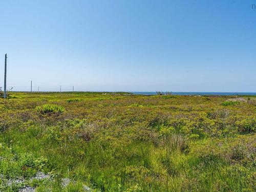 710 Baccaro Road, East Baccaro, NS 