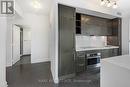 2904 - 65 St. Mary Street, Toronto, ON  - Indoor Photo Showing Kitchen 