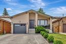 35 Lasila Court, Hamilton, ON  - Outdoor 