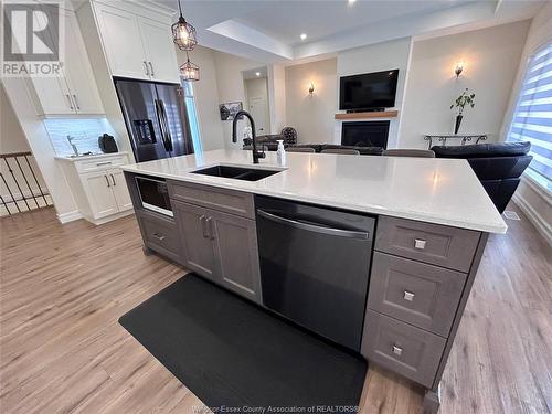 1912 Villa Canal, Kingsville, ON - Indoor Photo Showing Kitchen With Double Sink