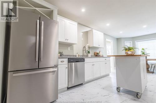 591 Old Tecumseh Road, Lakeshore, ON - Indoor Photo Showing Kitchen With Stainless Steel Kitchen With Upgraded Kitchen