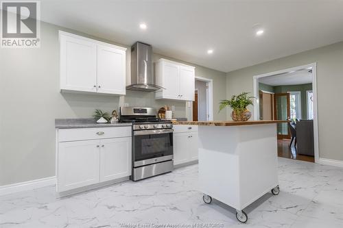 591 Old Tecumseh Road, Lakeshore, ON - Indoor Photo Showing Kitchen