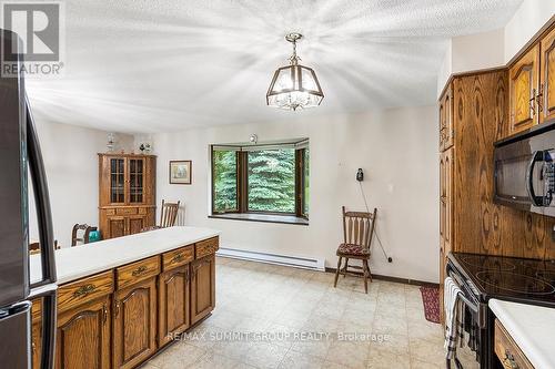 330 Mill Bridge Road, Grey Highlands, ON - Indoor Photo Showing Kitchen