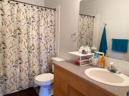 7506 Columbia Avenue, Radium Hot Springs, BC - Indoor Photo Showing Bathroom