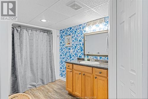 960 County Rd 50 East, Essex, ON - Indoor Photo Showing Bathroom