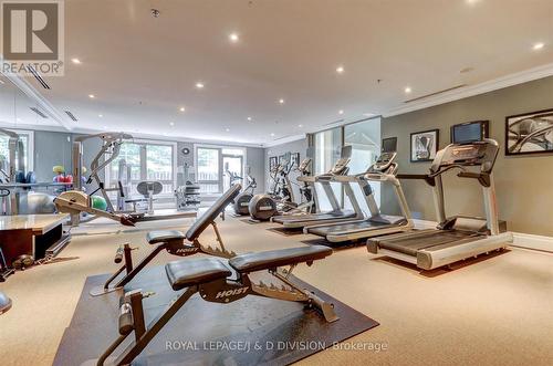 311 - 20 Burkebrook Place, Toronto, ON - Indoor Photo Showing Gym Room