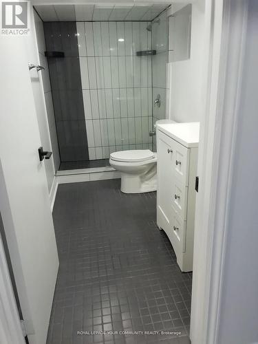 Lower - 10 Ulster Street, Toronto, ON - Indoor Photo Showing Bathroom