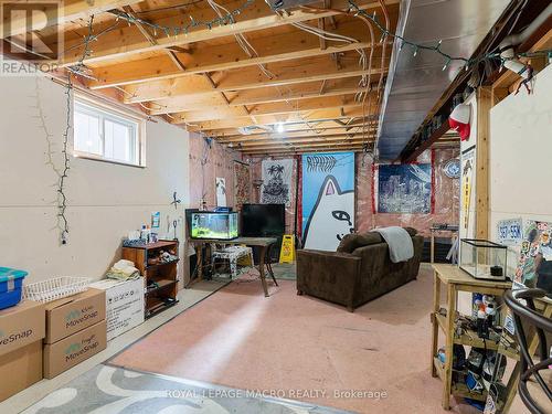 34 Teramo Court, Hamilton, ON - Indoor Photo Showing Basement