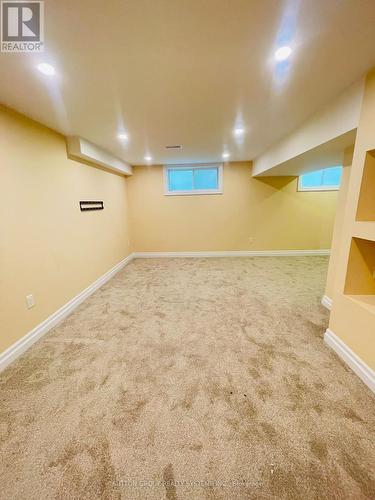 169 Sims Estate Drive, Kitchener, ON - Indoor Photo Showing Basement