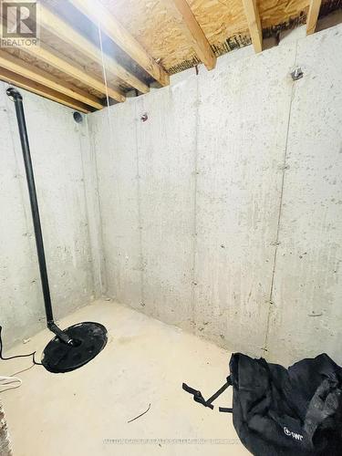 169 Sims Estate Drive, Kitchener, ON - Indoor Photo Showing Basement