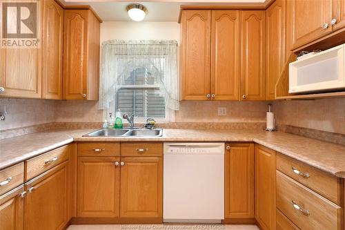 1227 Hall Avenue, Windsor, ON - Indoor Photo Showing Kitchen With Double Sink