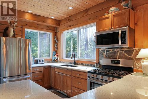 22 Winchester Drive, Kawartha Lakes, ON - Indoor Photo Showing Kitchen With Double Sink