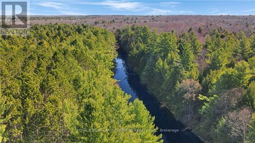 22 Winchester Drive, Kawartha Lakes, ON - Outdoor With View