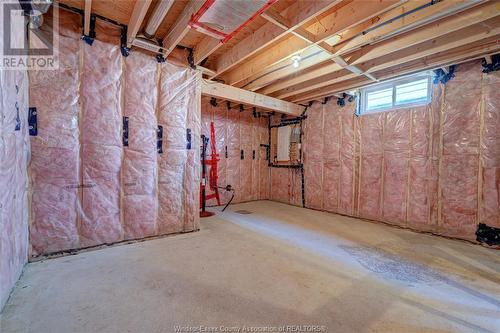 454 Brunmar Crescent, Lakeshore, ON - Indoor Photo Showing Basement