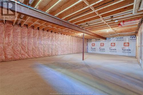 454 Brunmar Crescent, Lakeshore, ON - Indoor Photo Showing Basement