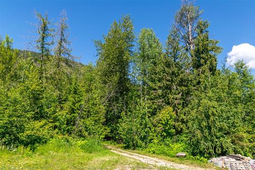 9933 Mara West Road, Sicamous, BC - Outdoor