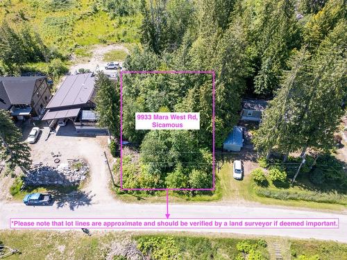 9933 Mara West Road, Sicamous, BC -  With View