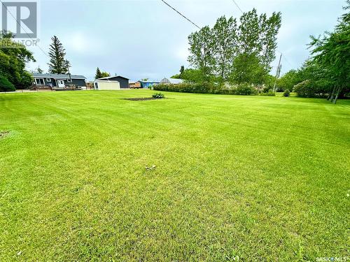 508 Railway Avenue E, Carlyle, SK - Outdoor