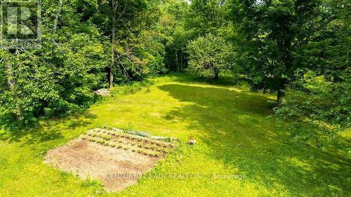 27444 41, Greater Madawaska, ON - Outdoor