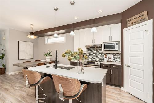 19 Burning Glass Road, Winnipeg, MB - Indoor Photo Showing Kitchen With Double Sink With Upgraded Kitchen