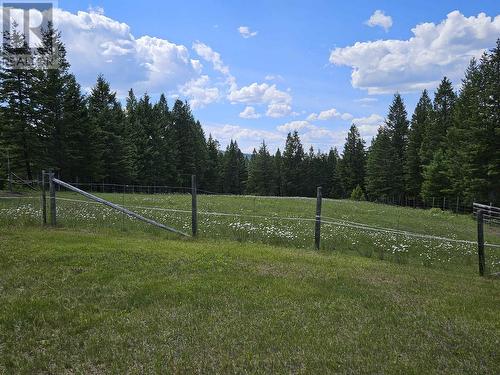 2455 Firwood Hill Road, Williams Lake, BC - Outdoor With View