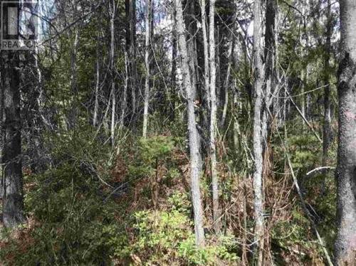 Lot 10 Chief Lake Road, Prince George, BC 