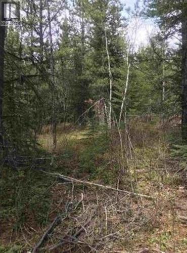 Lot 10 Chief Lake Road, Prince George, BC 