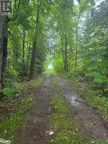 Nearby shared deeded access - Lot 29 Farleys Road, Whitestone, ON 