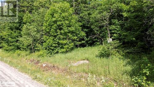 Lot 29 Farleys Road, Whitestone, ON 