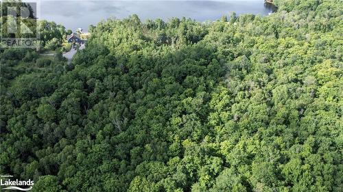 Aerial view of area - Lot 29 Farleys Road, Whitestone, ON 