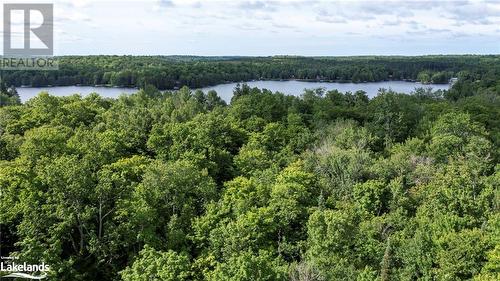 Aerial view of area - Lot 29 Farleys Road, Whitestone, ON 